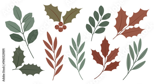 Variety of colorful autumn leaves.