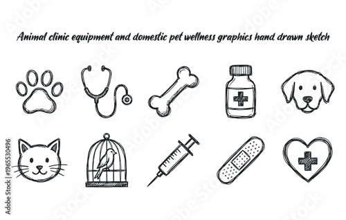 Animal clinic equipment and domestic pet wellness graphics hand drawn sketch