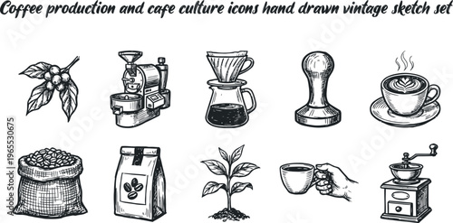 Coffee production and cafe culture icons hand drawn vintage sketch set