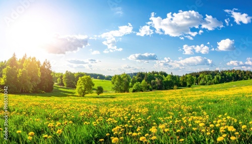 Golden expanse beneath a cerulean sky
