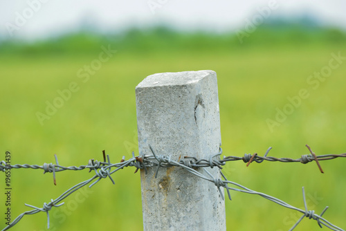 Obraz na plátně The old concrete pole with barbed wire fence in rice field, barbed wire fence in the garden, Close up of concrete barbed wire fence post with nature background