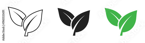 Three variations of a simple leaf icon design in outline, solid black, and vibrant green styles isolated on white background, Vector, illustration