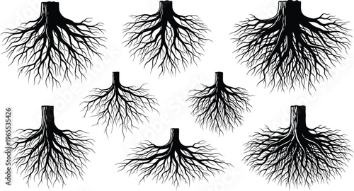 Black Root Systems Isolated on White Background