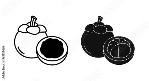 Vector illustration of mangosteen fruit line art and silhouette icon set on a transparent background