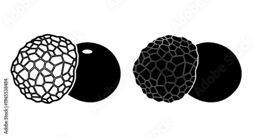Vector illustration of black truffle icons, set of two vector illustrations on a transparent background