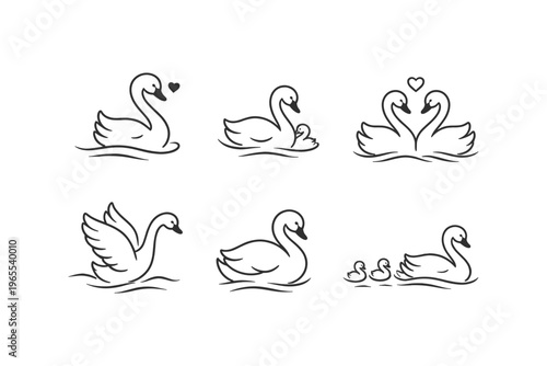 Elegant swan illustrations in various poses, symbolizing love and family