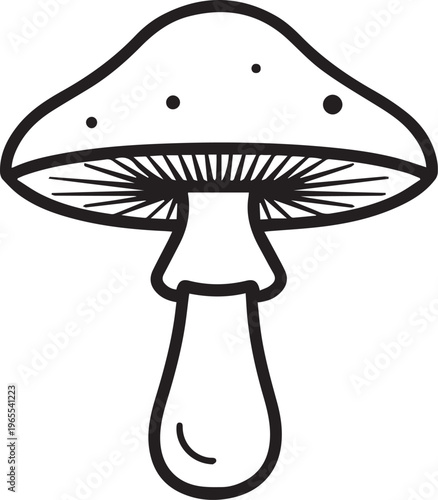 An artistic and stylish black-and-white illustration of a meticulously detailed mushroom.