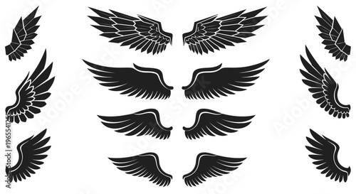 Black Wing Silhouette Set - Collection of Heraldic, Tribal, and Angel Wings for Tattoos, Logos, and Graphic Design