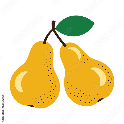 Two Fresh Ripe Yellow Pears with Green Leaf and Stems Isolated on White Background, Healthy Fruit Food Illustration for Grocery and Kitchen Vector