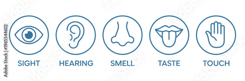 Five human senses icon set with editable stroke outline, featuring ear, eye, nose, lips, and hand, minimalist flat vector illustration representing the human nervous system