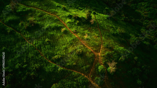 Aerial view of winding dirt paths cutting through the verdant hillside, casting shadows and light across the landscape, Jos, Plateau, Nigeria.