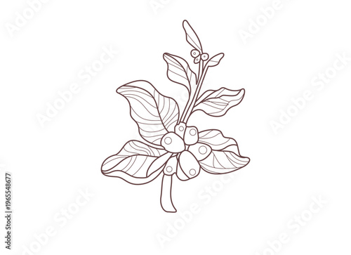 Hand-Drawn Berry Branch Illustration with Leaves and Berries Minimalist Botanical Sketch