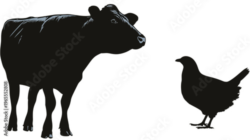 Farm Animals Silhouettes Vector Set: Black Cow and Chicken Icons on White Background, Livestock Graphic Elements