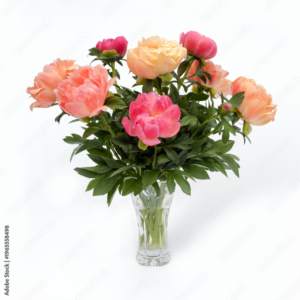 Fototapeta premium Bouquet of peonies flowers