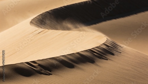 Showing curving sand dune ridge sculpting in desert, with rippled windward slope and shadowed lee
