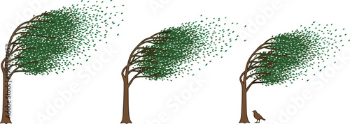 Wind Blowing Tree Set with Trees Bent by Strong Wind Nature Weather Vector Illustration Collection for Storm and Climate Concept