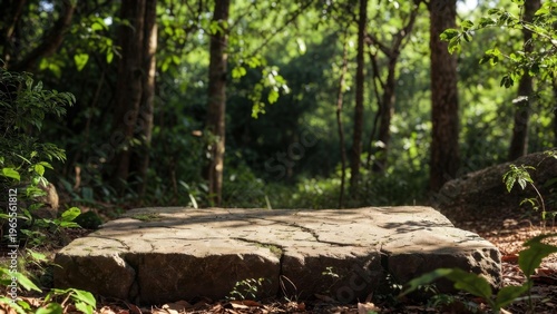Rough stone pedestal in a shaded forest clearing for background and display use in nature themed banner and product staging scenes