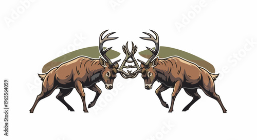 Two male deer with large antlers locked in a fight