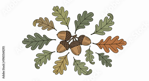 Autumn bounty acorns and oak leaves arranged in a circular pattern