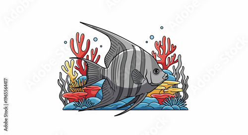 Striped angelfish swims past colorful coral reef in clear blue water