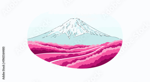 Snow-capped mountain overlooks vibrant pink flower fields under a pale blue sky
