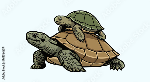 Two turtles, one large and one small, carry each other on white background