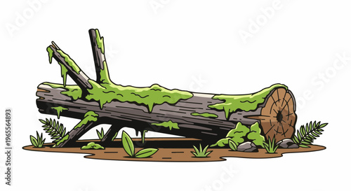A moss-covered fallen tree trunk rests horizontally amidst forest floor flora