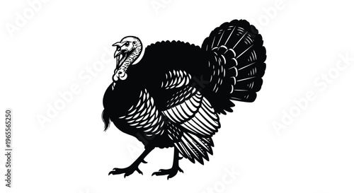 Striking black and white vector illustration of a proud male turkey displaying its magnificent fanned tail feathers in a bold graphic style.