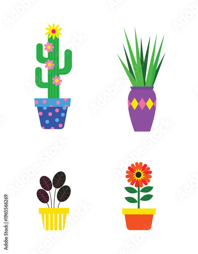 Collection of potted plants and flowers in various colorful pots