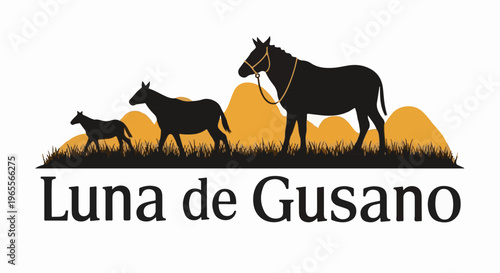 Silhouette of three donkeys with rolling hills and grass