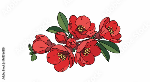 Delicate red blossoms and green leaves arranged on a white background