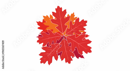 A vibrant cluster of red and orange oak leaves on a white background