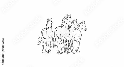 Four horses running together on a white background