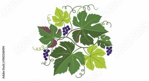 Stylized arrangement of green grape leaves and purple fruit