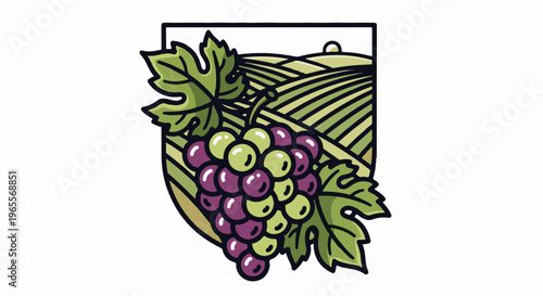 Grapes on vineyard background with rolling hills and sun