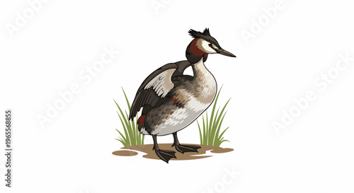 Stylized illustration of a water bird with distinctive crest and markings