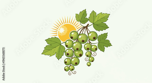 Green berries and sun rays