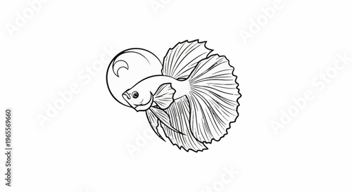 A stylized black and white illustration of a Siamese fighting fish with flowing fins