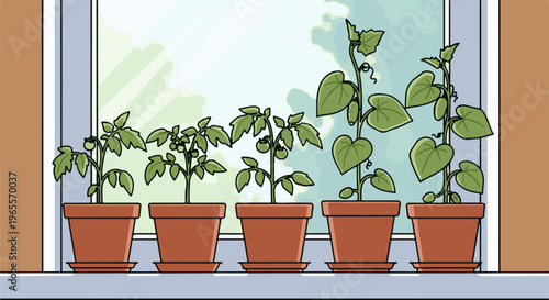 Potted tomato and cucumber plants growing on a windowsill, bathed in sunlight