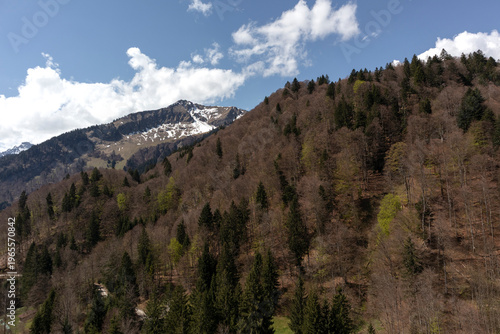 Panorama of Lake Freibergsee in Bavaria, Germany, springtime