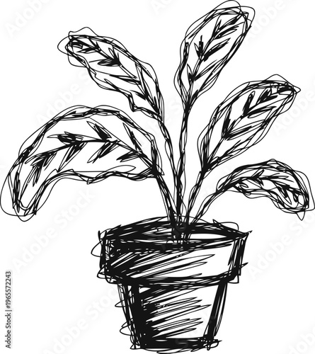 Hand drawn potted plant sketch with large elongated leaves, artistic floral illustration in black ink