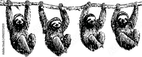 Four sloths hanging from a tree branch in a playful and relaxed jungle scene