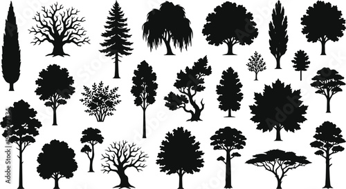 Diverse tree silhouettes vector collection, various deciduous and evergreen trees, natural forest and park elements, botanical plant set for landscape design, black graphic icons