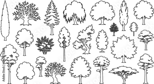 Architectural tree vector set, diverse deciduous and coniferous tree outlines, CAD drawing elements for landscape design, black and white line art collection, 2D plan view graphics