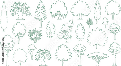 Diverse tree outlines vector collection, various deciduous and coniferous tree silhouettes, architectural landscape design elements, nature-inspired graphic resources for CAD and illustration