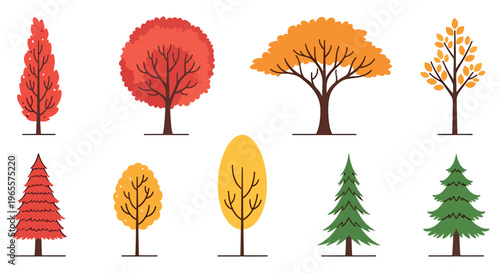Autumn and Evergreen Tree Collection Seasonal Nature Flat Vector Set
