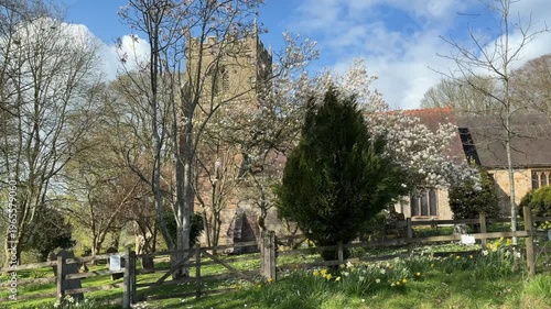 Wallpaper Mural 4K Video -Spring. Daffodils and blossom in an English Country churchyard on a bright sunny day. No peope in picture.  Torontodigital.ca