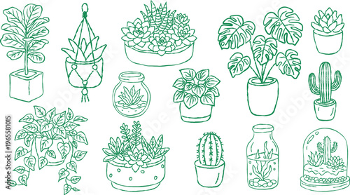 A collection of succulents—hand-drawn plant doodles suitable for mobile wallpapers, web backgrounds, stickers for plant enthusiast communities, and eco-themed promotional materials.
