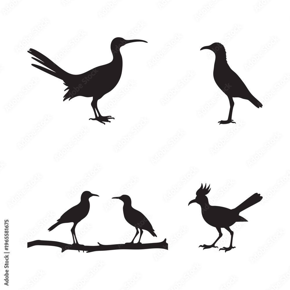 Fototapeta premium Silhouettes of various birds perched and in flight against white