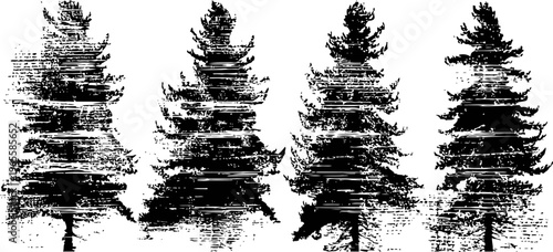 Grunge pine trees silhouettes black distressed fir tree shapes isolated forest nature rustic vintage design elements